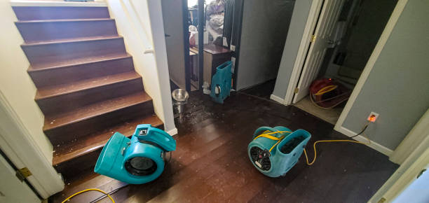 Best Flood damage cleanup  in Lemoyne, PA