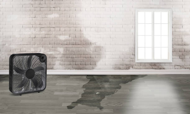 Best Emergency water damage restoration  in Lemoyne, PA