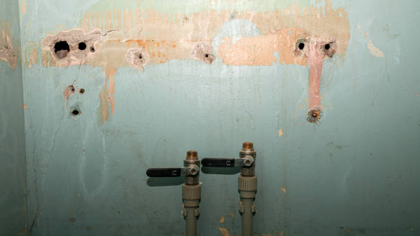 Best Fire Damage Restoration  in Lemoyne, PA