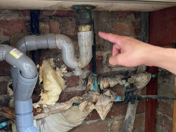 Best 24-hour water damage restoration  in Lemoyne, PA